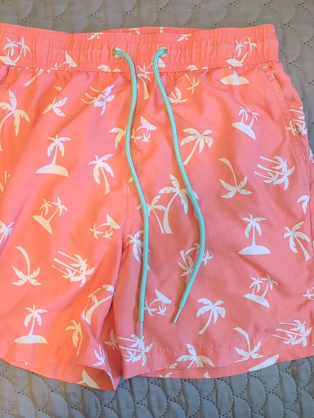 Swim Trunks